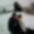 Photo de profil de Eric Fuggini