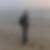 Photo de profil de Murat Guney