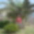 Photo de profil de Bouchta Tbatou