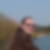 Photo de profil de Cyrille Pecriaux