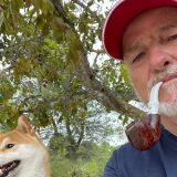 Photo de profil de Jean Michel Faucher