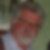 Photo de profil de Michel Berton