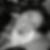 Photo de profil de Sylvie Lecouvreur