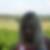 Photo de profil de Corinne Airault