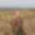 Photo de profil de Jacky Foissier