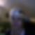 Photo de profil de Cedric Brison