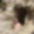 Photo de profil de Jerome Dupuy