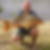 Photo de profil de Lionel Leemans