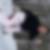 Photo de profil de Catherine Fisson
