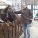 Photo de profil de Michel Allart