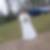 Photo de profil de Alice Francois