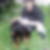 Photo de profil de Julien Wattez