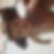 Photo de profil de Rachida Ait Aliouhaddou