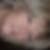 Photo de profil de Janine Brackman
