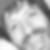 Photo de profil de Alain Onclin