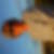 Photo de profil de Catherine Lasquin