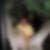 Photo de profil de Lucien Hastire