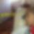 Photo de profil de Yanis Ait Meddour