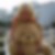 Photo de profil de Marie-Christine Besnard