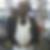 Photo de profil de Senyo Kwadzo