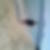 Photo de profil de Laurence Allemand