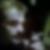 Photo de profil de Fred Castelain