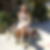 Photo de profil de Jocelyne Sasso