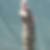 Photo de profil de Pascal Malardeau