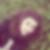 Photo de profil de Margot Faudeil
