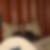 Photo de profil de Jerome Parent