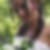 Photo de profil de Hanane Dahik