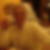 Photo de profil de Philippe Bouchon
