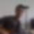 Photo de profil de Emmanuel Bricard