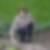 Photo de profil de Sophie Thouvenot
