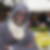 Photo de profil de Abdoul Kouyate