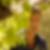 Photo de profil de Regis Ayme
