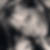 Photo de profil de Corinne Bourdoncle