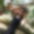 Photo de profil de Haingo Fidison
