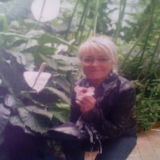 Photo de profil de Brigitte Hoinville