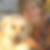 Photo de profil de Beatrice Pellissard