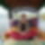 Photo de profil de Alice Sibille