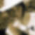 Photo de profil de Pierre Papillon