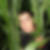 Photo de profil de Jerome Rosazza