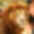 Photo de profil de Céda Picard
