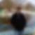 Photo de profil de Saber Boughazi