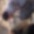 Photo de profil de Hassan Elghoul