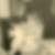 Photo de profil de Muriel Serru-Mavel