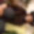 Photo de profil de Sandy Lalaurie