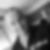 Photo de profil de Edmond Davet