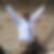Photo de profil de Danny Blackson Nkenglack